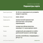 Мята Сванетис Мцванеби (0,1л) — параметры сорта