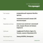 Мята Сванетис Мцванеби (0,1л) — что приедет