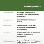 Мята Сванетис Мцванеби (0,1л) — параметры сорта