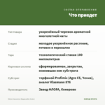 Мята Сванетис Мцванеби (0,1л) — что приедет