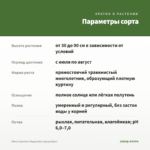 Мята Сванетис Мцванеби (срезы/5шт) — параметры сорта