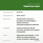 Мята Ташкент (0,1л) — параметры сорта