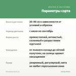 Мята Ванильная (0,1л) — параметры сорта