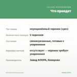 Мята Ванильная (срезы/5шт) — что приедет