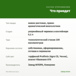 Мята Яблочная (0,1л) — что приедет