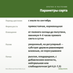 Мята Яблочная Pomo Petite (0,1л) — параметры сорта