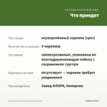 Мята Яблочная Pomo Petite (срезы/5шт) — что приедет