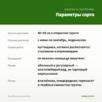 Мята Яблочная (срезы/5шт) — параметры сорта