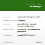 Мята Яблочная (срезы/5шт) — что приедет