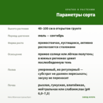 Мята Яблочная (срезы/5шт) — параметры сорта