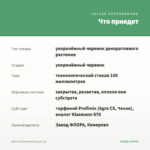 Мята Земляника Гранд (0,1л) — что приедет