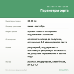 Мята Земляника Гранд (срезы/5шт) — параметры сорта