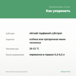 Мята Земляника Гранд (срезы/5шт) — как укоренить черенок