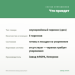 Мята Земляника Гранд (срезы/5шт) — что приедет
