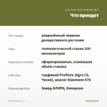 Мюленбекия (0,1л) — что приедет