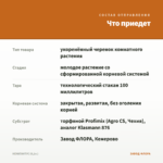 НЕМАТАНТУС (0,1л.) — что приедет