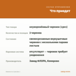 Нематантус (срез/3шт.) — что приедет