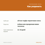 Нематантус (срез/3шт.) — как укоренить черенок