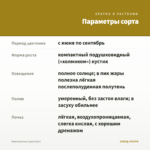 Немезия Inca (срез/5шт) — параметры сорта