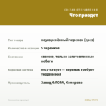 Немезия Inca (срез/5шт) — что приедет