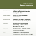 Немезия Menor Dual Bordeaux (0,1л) — параметры сорта