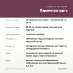 Немезия Menor Dual Magenta (0,1л) — параметры сорта