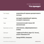 Немезия Menor Dual Magenta (0,1л) — что приедет