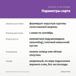 Немезия Nesia Banana Swirl (срез/5шт) — параметры сорта
