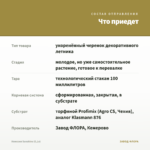 Немезия Sunshine (0,1л) — что приедет