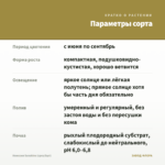 Немезия Sunshine (срез/5шт) — параметры сорта