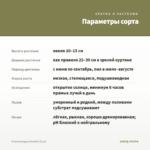 Очиток(седум) Atlantis (0,1л) — параметры сорта