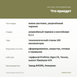 Очиток(седум) Atlantis (0,1л) — что приедет