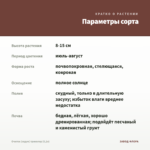 Очиток (седум) триколор (0,1л) — параметры сорта