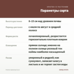 Очиток триколор (0,1л) — параметры сорта
