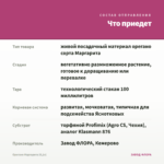 Орегано Маргарита (0,1л) — что приедет