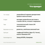Орегано Panta Вариегатная (0,1л) — что приедет