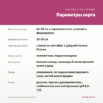 Остеоспермум 3D Deep Pink (0,1л) — параметры сорта