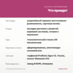 Остеоспермум 3D Deep Pink (0,1л) — что приедет