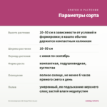 Остеоспермум 3D Deep Pink (0,1л) — параметры сорта