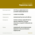 Остеоспермум 3D Deep Sun (0,1л) — параметры сорта