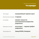 Остеоспермум 3D Deep Sun (срез/3шт) — что приедет