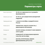 Остеоспермум 3D Nanuk (0,1л) — параметры сорта