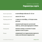 Остеоспермум 3D Nanuk (0,1л) — параметры сорта