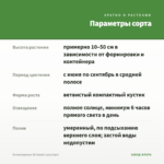 Остеоспермум 3D Nanuk (срез/3шт) — параметры сорта