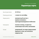 Остеоспермум 3D Nanuk (срез/3шт) — параметры сорта