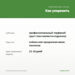 Остеоспермум 3D Nanuk (срез/3шт) — как укоренить черенок