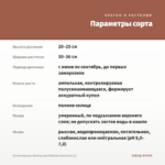 Остеоспермум ампельный Osticade Aurora (0,1л) — параметры сорта