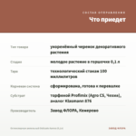 Остеоспермум ампельный Osticade Aurora (0,1л) — что приедет