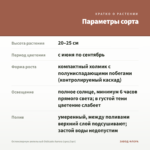 Остеоспермум ампельный Osticade Aurora (срез/3шт) — параметры сорта
