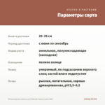 Остеоспермум ампельный Osticade Aurora (срез/3шт) — параметры сорта